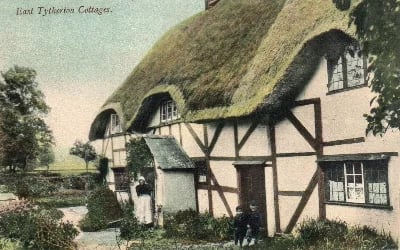 Chestermans Farm
