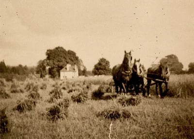 Bickhams Field
