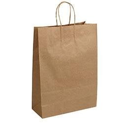 Sacola Kraft 31,5x23,5cm 10 Peças
