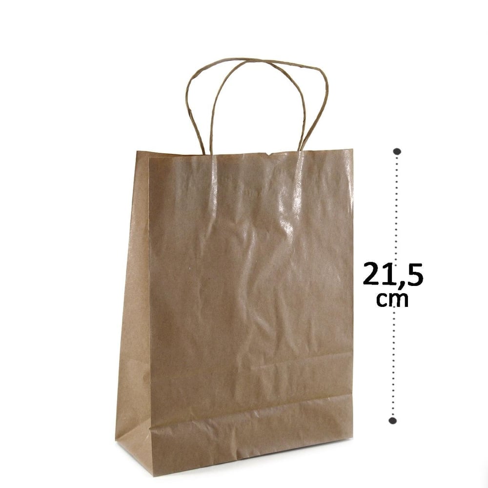 Sacola Kraft 21,5x17,5cm 10 Peças