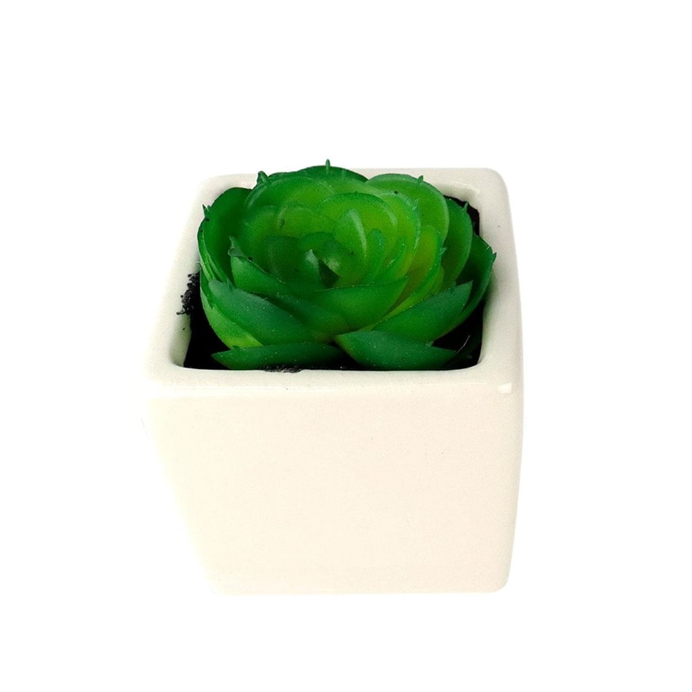 Vaso Decorativo de Cerâmica 9cm com Planta Sortido