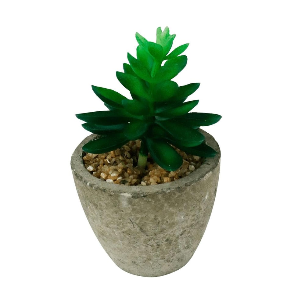 Vaso Decorativo de Cimento 9cm com Planta Sortidos