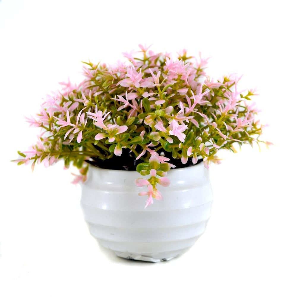 Vaso Decorativo de Plástico 10cm com Planta