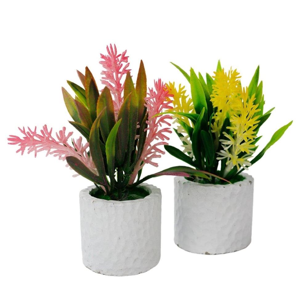 Vaso Decorativo de Cimento 12cm Plantas Sortidos
