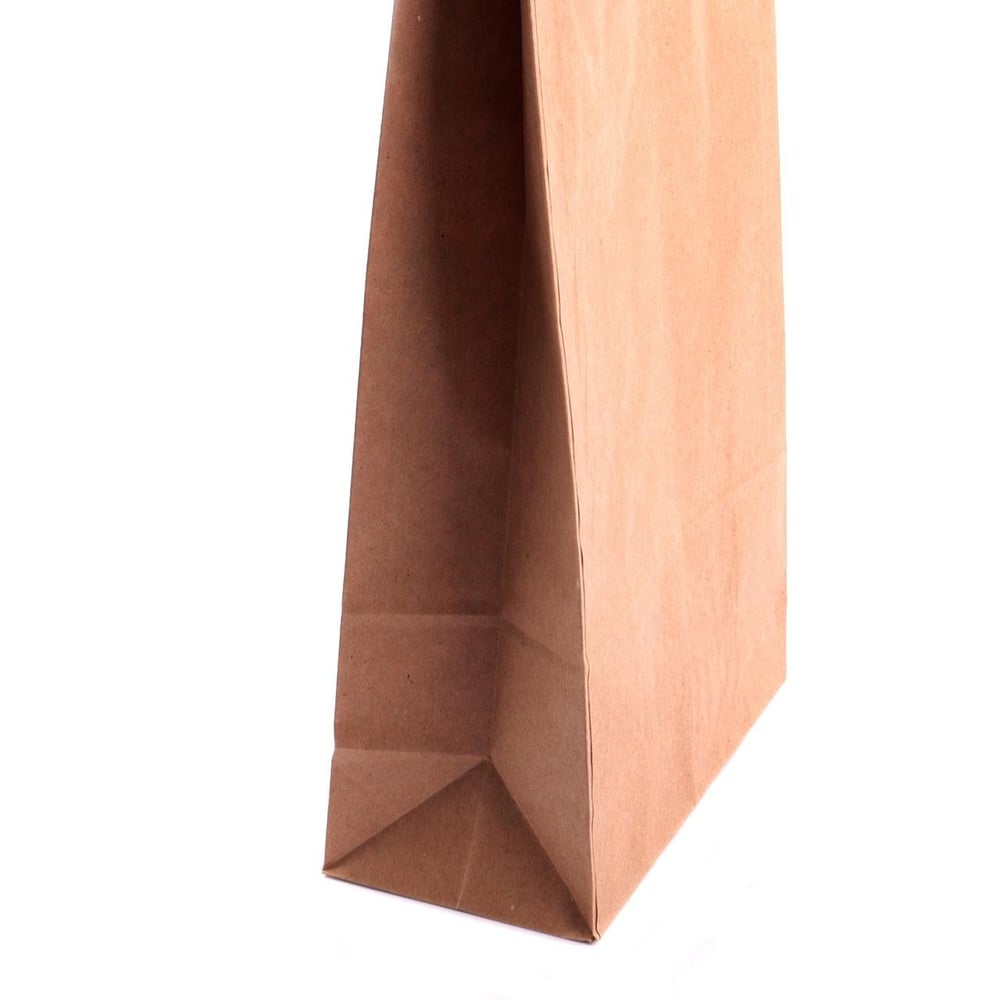 Sacola Kraft 33x17cm 10 Peças