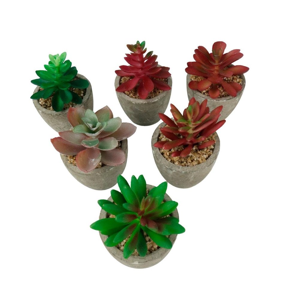 Vaso Decorativo de Cimento 9cm com Planta Sortidos