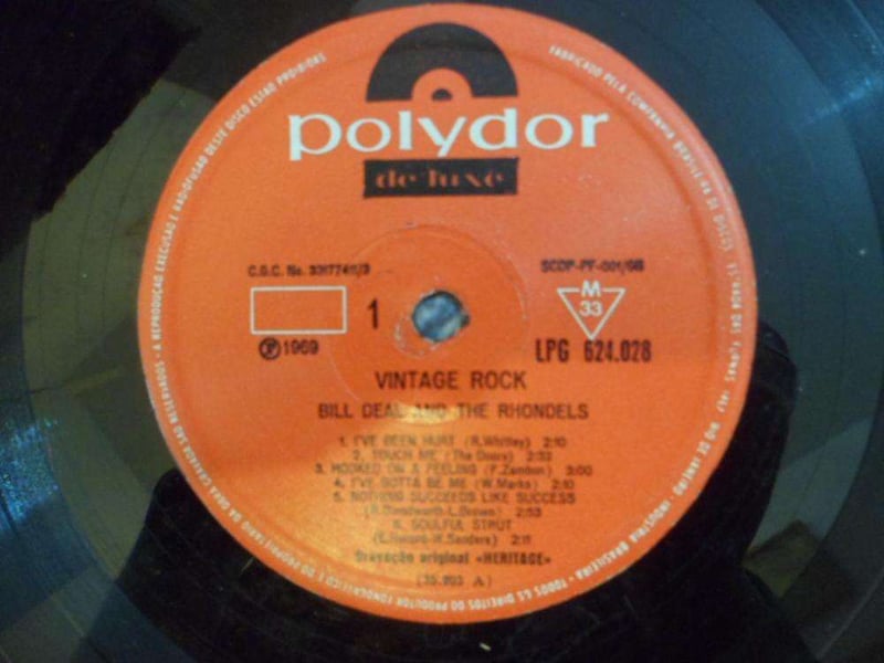 BILL DEAL AND THE RHONDELS - VINTAGE ROCK (NACIONAL) 