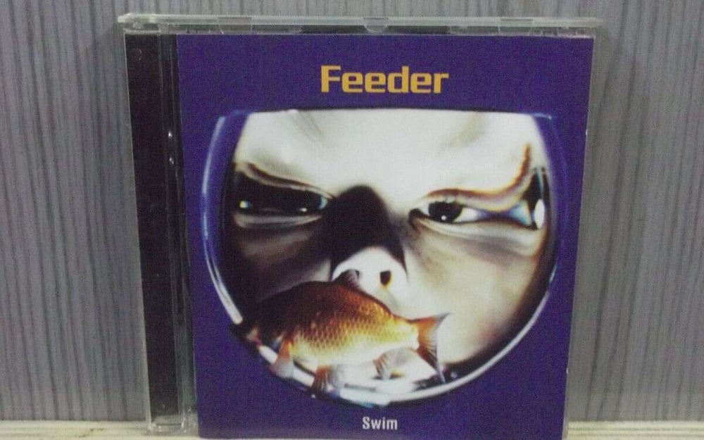 FEEDER - SWIN