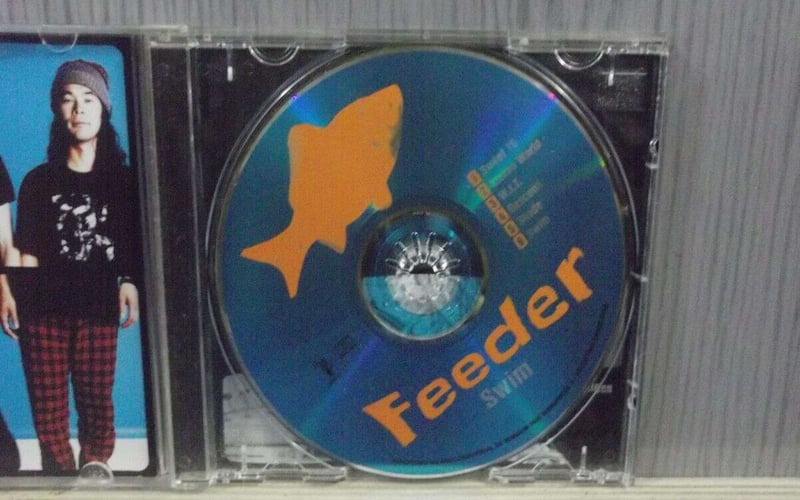 FEEDER - SWIN