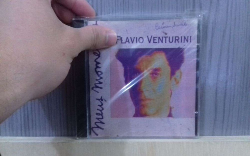 FLAVIO VENTURINI - MEUS MOMENTOS