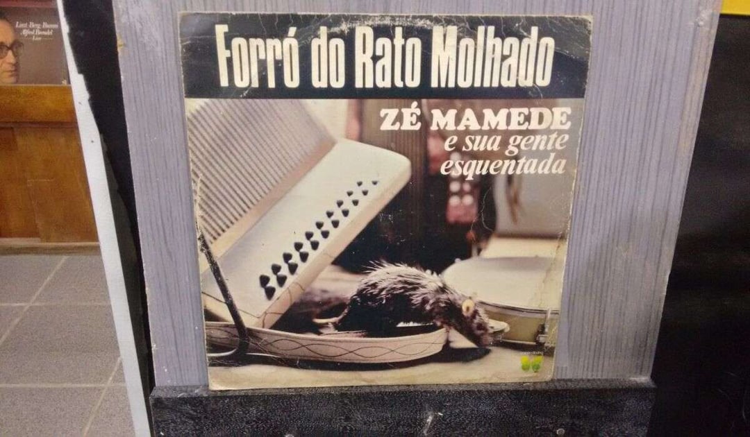 forró zé mamede