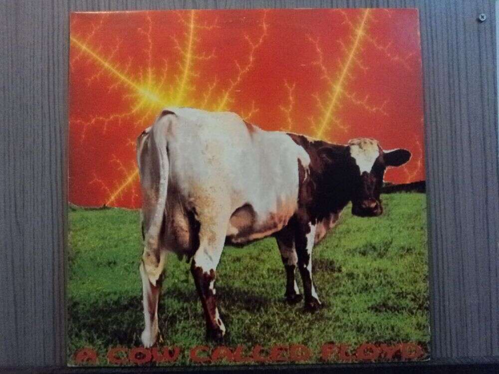 THE JUNKIE JESUS FREUD PROJECT - A COW CALLED FLOYD (NAC)