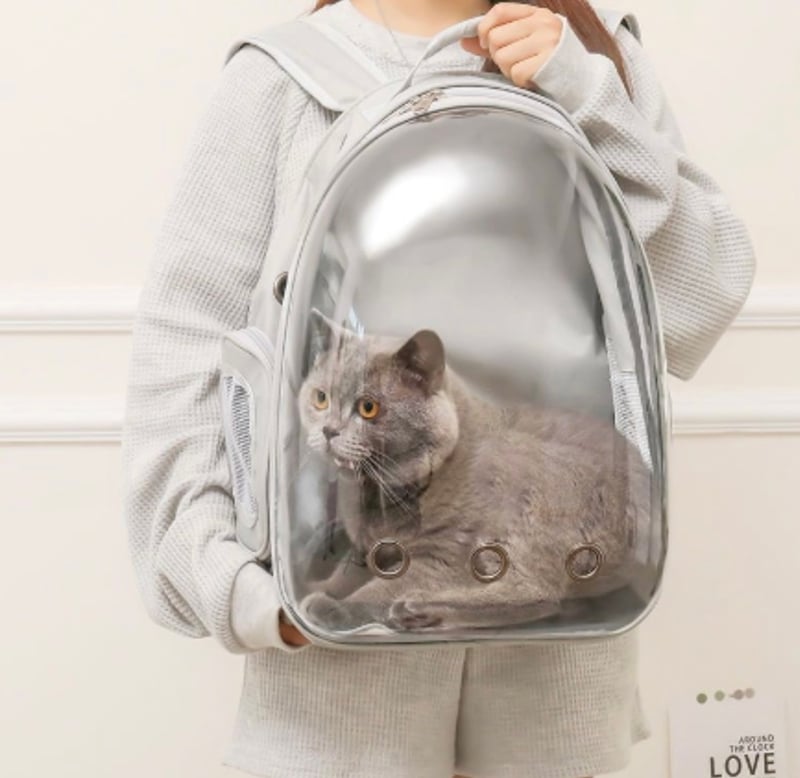 Mochila Pet Visão Panorâmica Para Cães e Gatos - Cinza