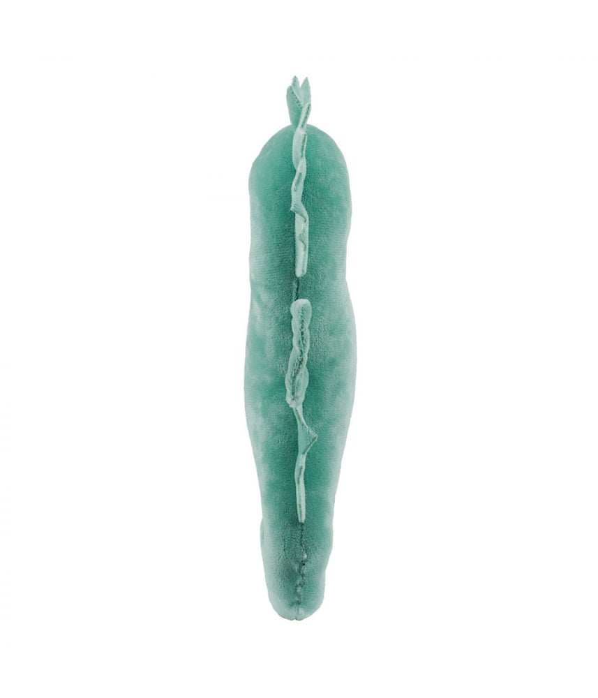 Cavalo Marinho De Pelúcia Verde 25 cm 