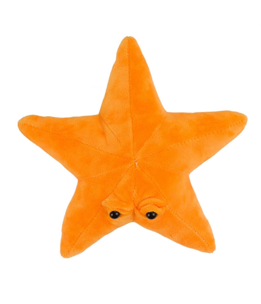 Estrela Do Mar De Pelúcia Laranja Com Olhos 23cm