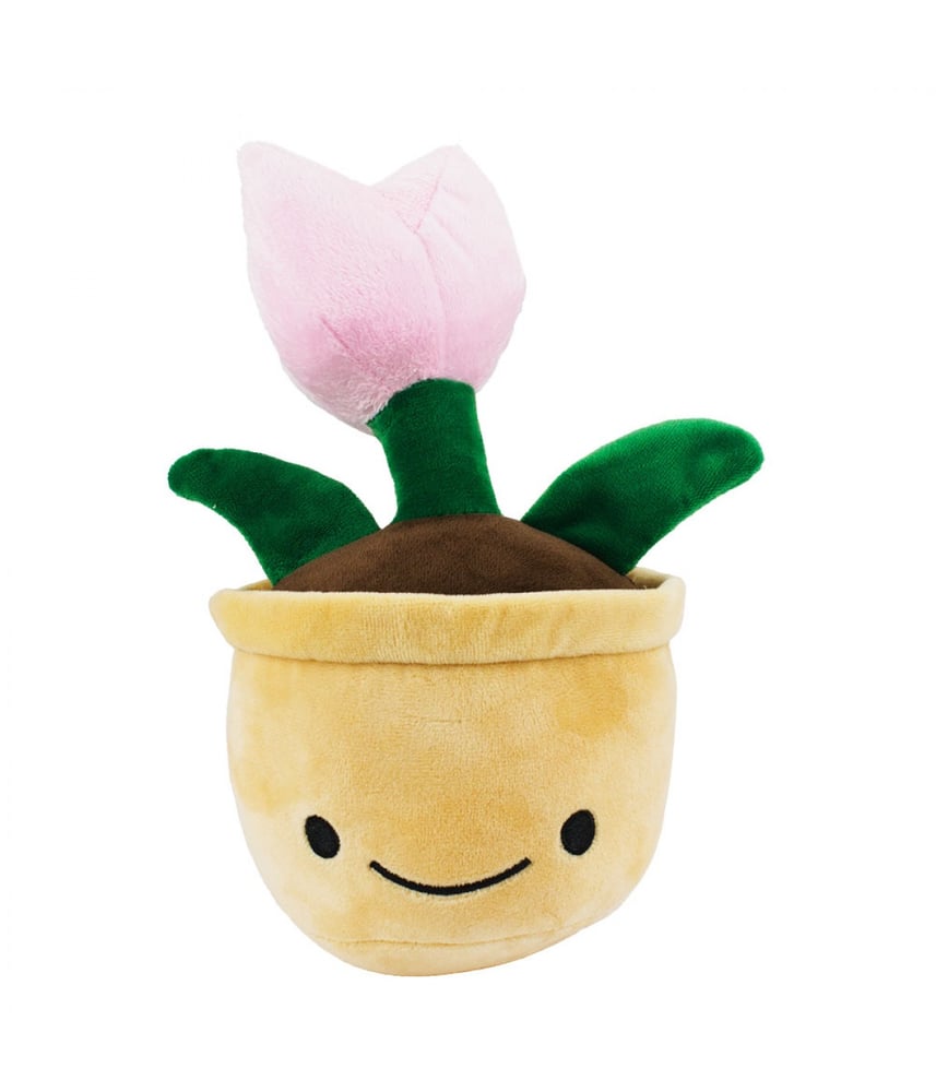 Vaso De Pelúcia Com Rosto Planta Flor Rosa 23 cm