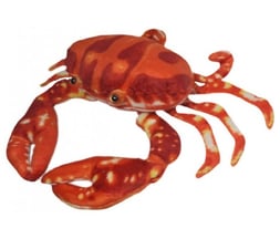 Caranguejo Real Pelúcia Vermelho 22 Cm Antalérgico
