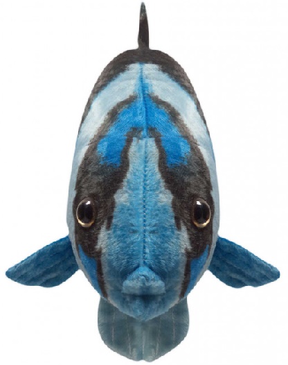 Peixe De Pelúcia Realista Azul Oceano 40 Cm