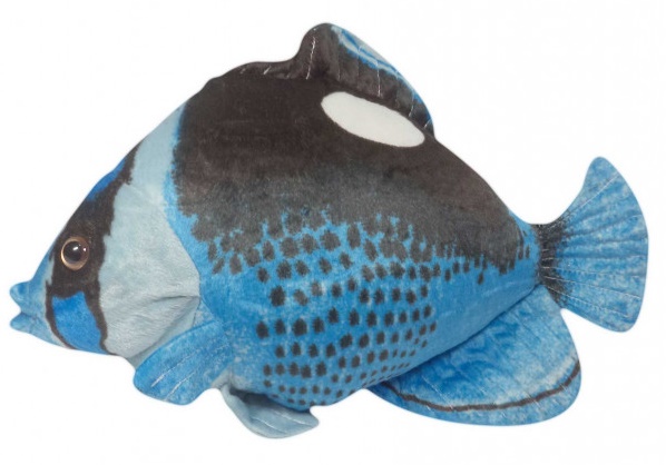 Peixe De Pelúcia Realista Azul Oceano 40 Cm