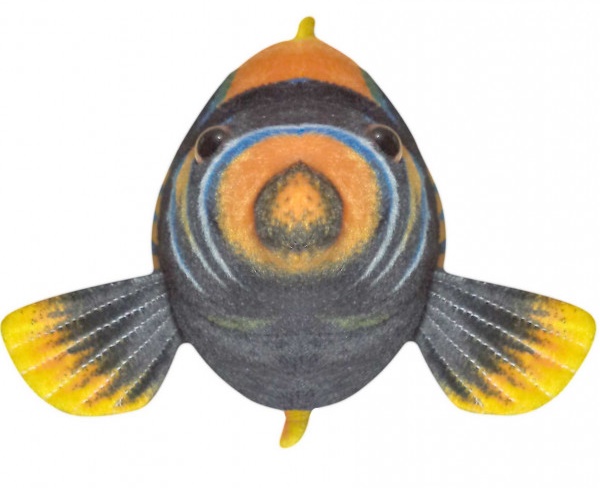 Peixe De Pelúcia Real Amarelo Listrado Oceano 40 Cm