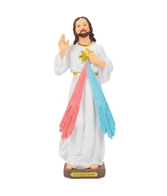 Home Variedades  Jesus Misericordioso 30cm   1