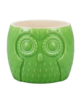 Home Variedades  Vaso Porcelana Verde Coruja  1