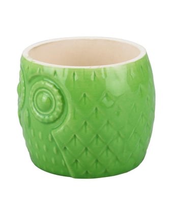 Home Variedades  Vaso Porcelana Verde Coruja  4