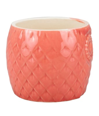 Home Variedades  Vaso Porcelana Rosa Coruja  2