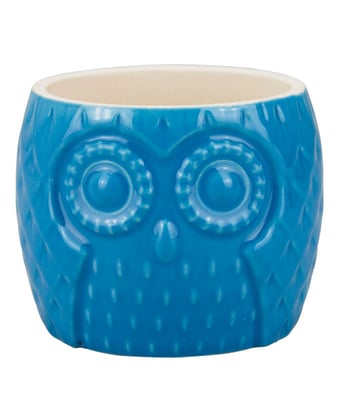 Home Variedades  Vaso Porcelana Azul Coruja  1