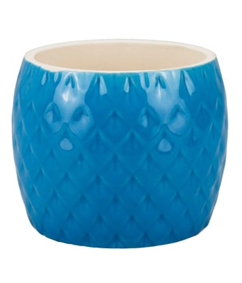 Home Variedades  Vaso Porcelana Azul Coruja  3