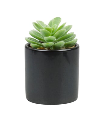 Home Variedades Vaso Porcelana Planta Verde 1 Home Variedades Vaso Porcelana Planta Verde 1