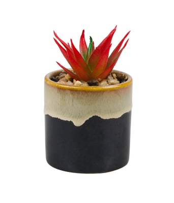 Home Variedades Vaso Porcelana Planta Vermelha 1 Home Variedades Vaso Porcelana Planta Vermelha 1