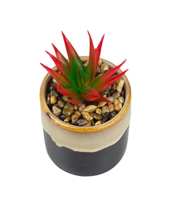Home Variedades Vaso Porcelana Planta Vermelha 2 Home Variedades Vaso Porcelana Planta Vermelha 2