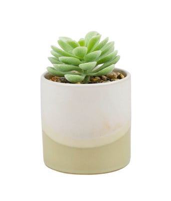 Home Variedades Vaso Porcelana Planta Artificial C 1 Home Variedades Vaso Porcelana Planta Artificial C 1