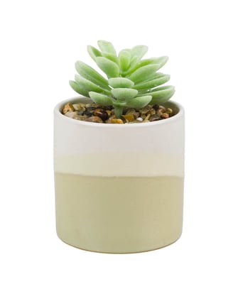 Home Variedades Vaso Porcelana Planta Artificial C 2 Home Variedades Vaso Porcelana Planta Artificial C 2
