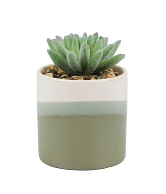 Home Variedades Vaso Porcelana Planta Artificial B 2 Home Variedades Vaso Porcelana Planta Artificial B 2