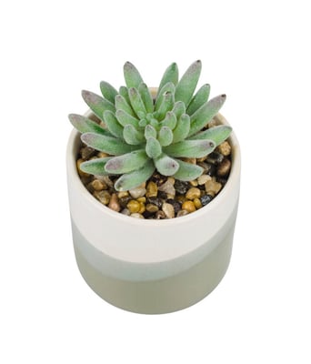 Home Variedades Vaso Porcelana Planta Artificial B 3 Home Variedades Vaso Porcelana Planta Artificial B 3