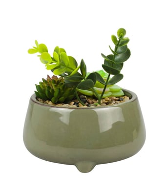 Home Variedades  Vaso Porcelana Plantas Artificiais B  2