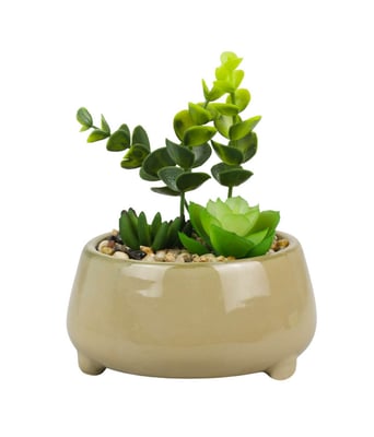 Home Variedades Vaso Porcelana Plantas Artificiais A 1 Home Variedades Vaso Porcelana Plantas Artificiais A 1