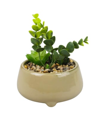 Home Variedades  Vaso Porcelana Plantas Artificiais A  2