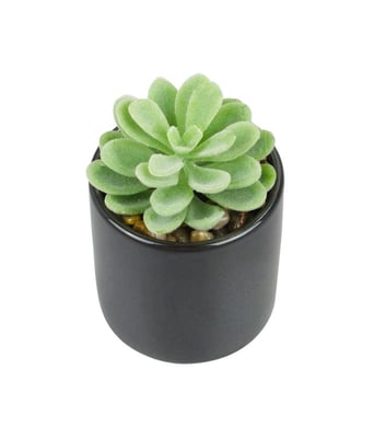 Home Variedades VASO DE PORCELANA PLANTA VERDE 2 Home Variedades VASO DE PORCELANA PLANTA VERDE 2