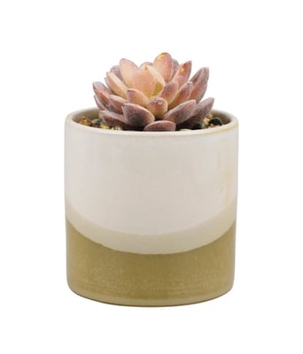 Home Variedades  Vaso Porcelana Planta Artificial Modelo A  1