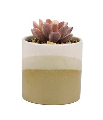 Home Variedades  Vaso Porcelana Planta Artificial Modelo A  3