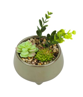 Home Variedades  Vaso Porcelana Plantas Artificiais Verde  2