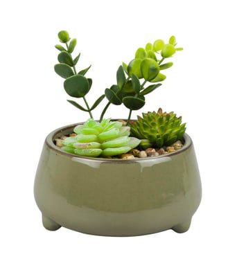 Home Variedades  Vaso Porcelana Plantas Artificiais Verde  1