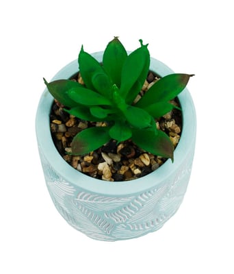 Home Variedades  Vaso Cimento Azul Planta Artificial   3