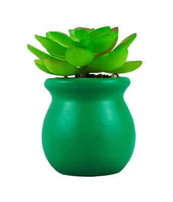 Home Variedades  Vaso Cimento Verde Planta Artificial   1