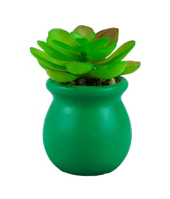 Home Variedades  Vaso Cimento Verde Planta Artificial   2