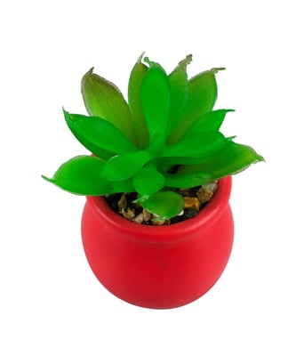 Home Variedades  Vaso Cimento Vermelho Planta Artificial  3