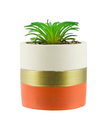 Home Variedades Vaso Cimento Base Laranja Planta 1 Home Variedades Vaso Cimento Base Laranja Planta 1